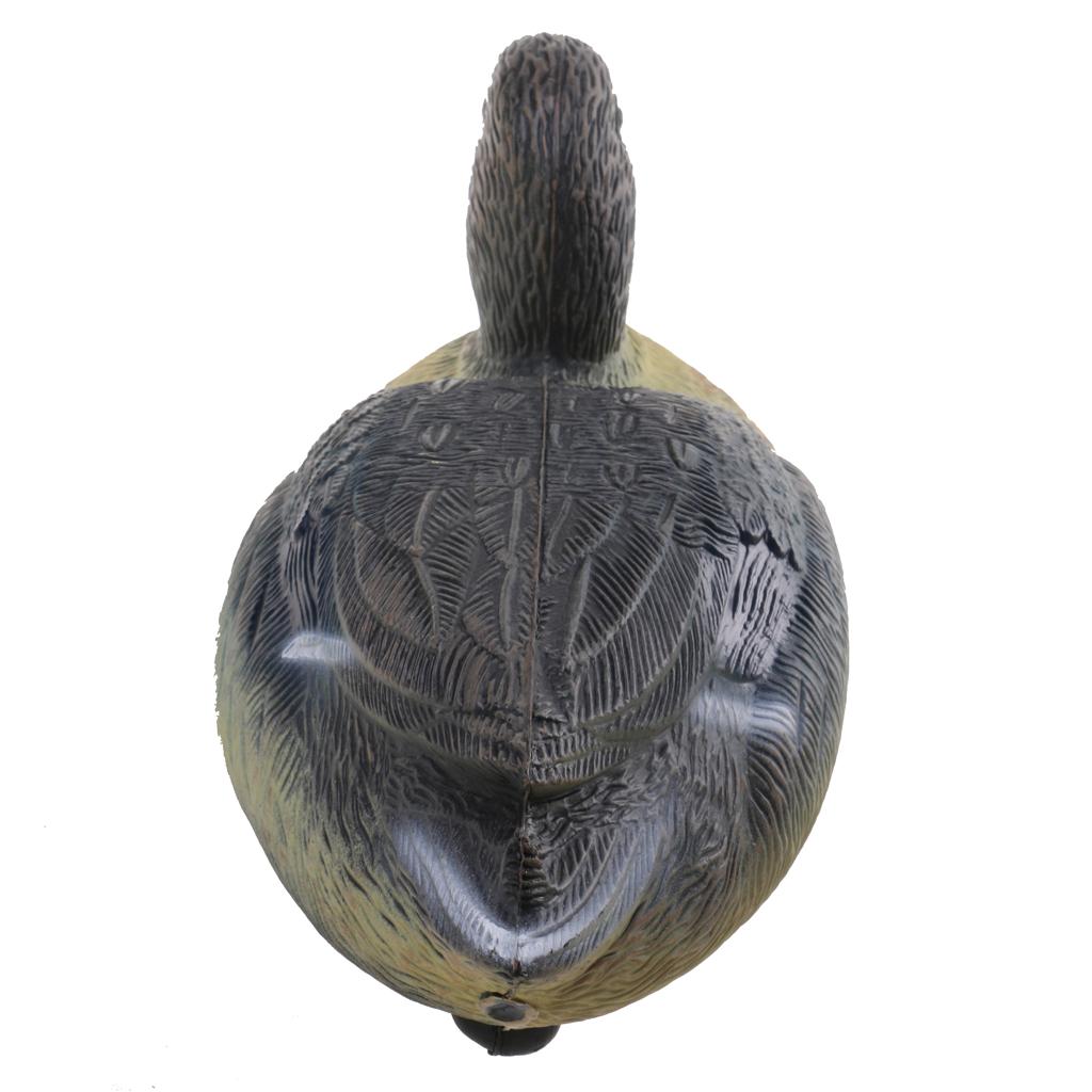 Highly Realistic Plastic Duck  – Decoy Duck Plastic recenzja i cena