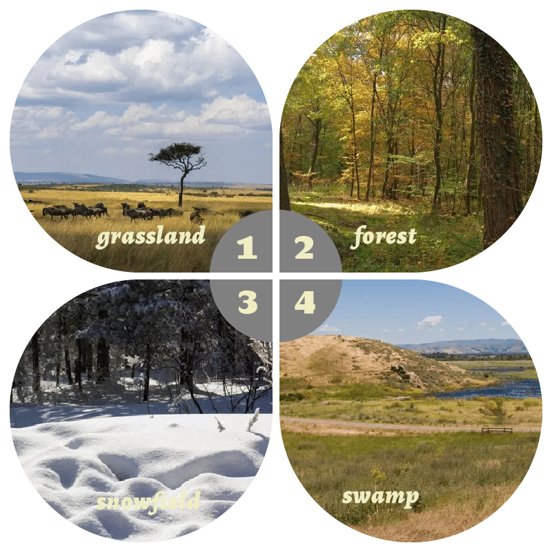 Camouflage Pop-Up Hunting Blin – Hunting & Outdoor As recenzja i cena