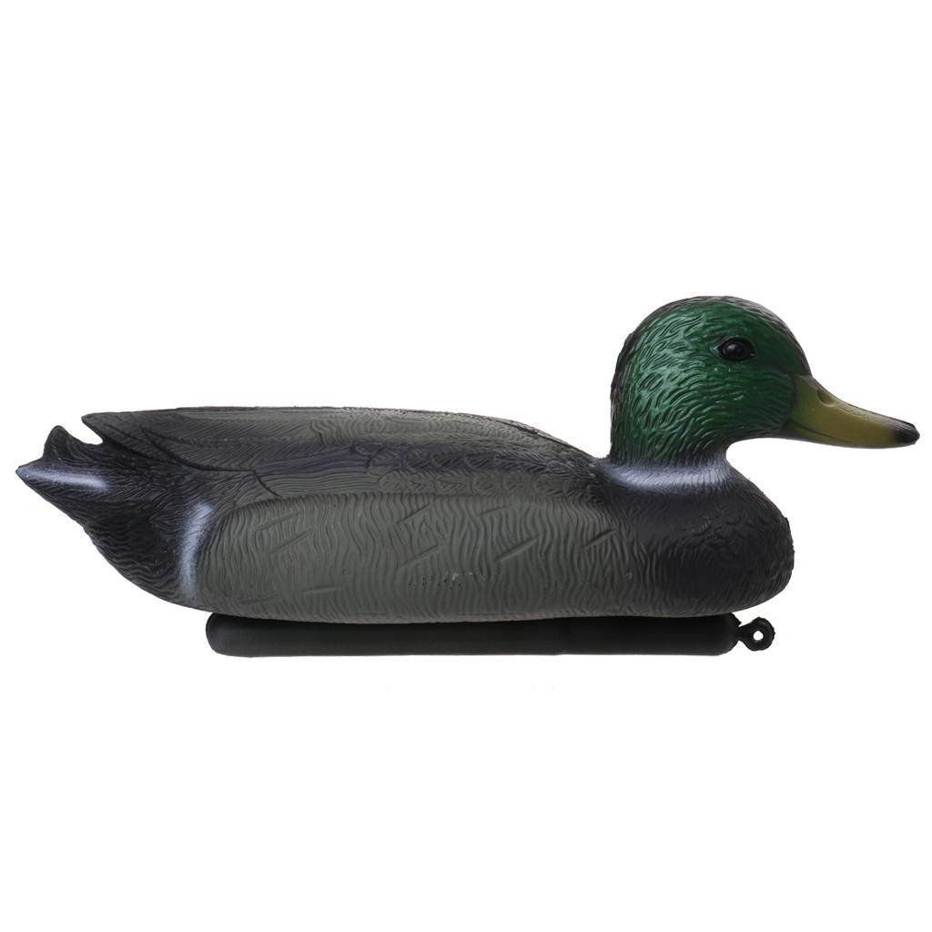 Simulation Plastic Drake Duck  – Decoy Duck Plastic recenzja i cena