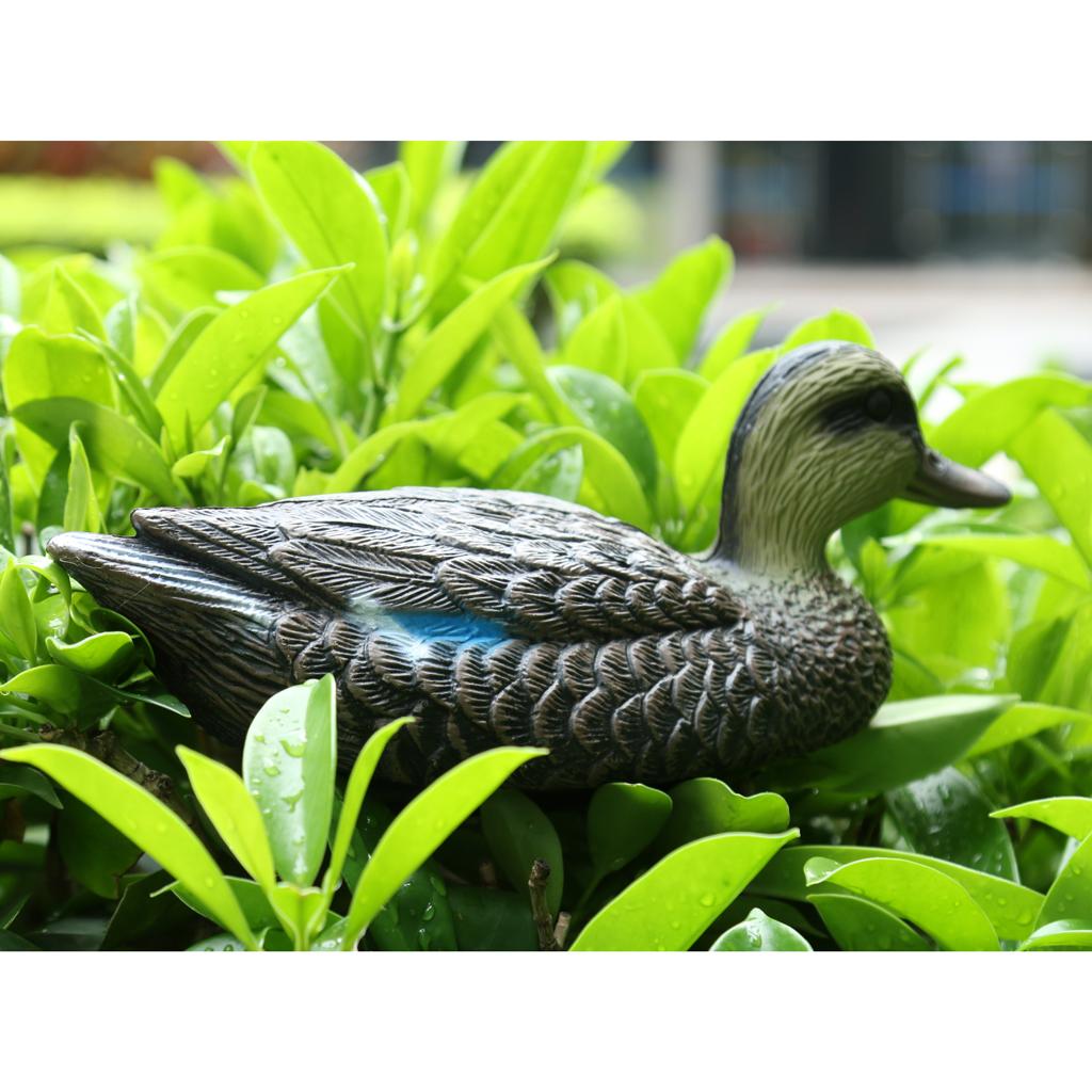 Lifesize Plastic Mandarin Duck – Decoy Duck Plastic recenzja i cena