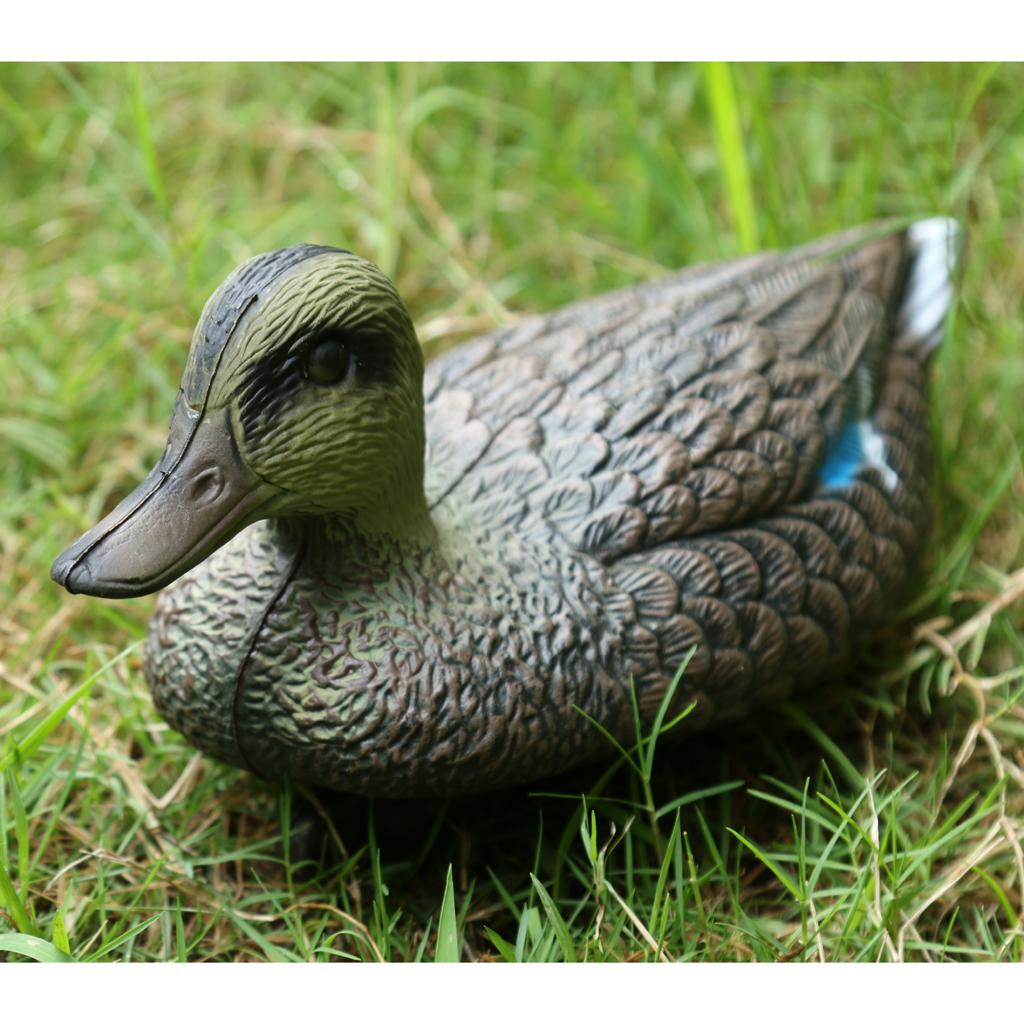 Lifesize Plastic Mandarin Duck – Decoy Duck Plastic recenzja i cena