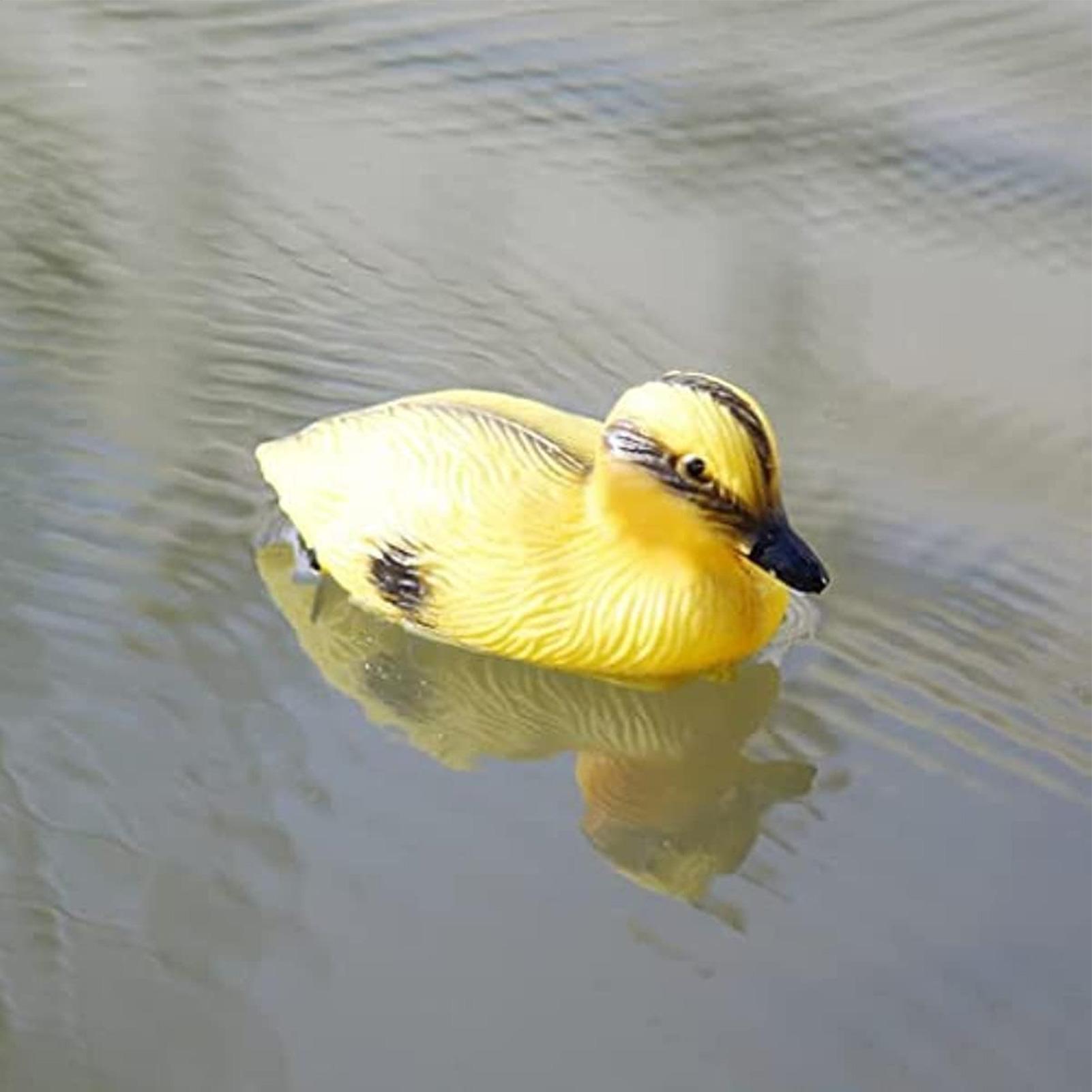 Floating Duck Decoy Cute Vivid – Decoy Duck Plastic recenzja i cena
