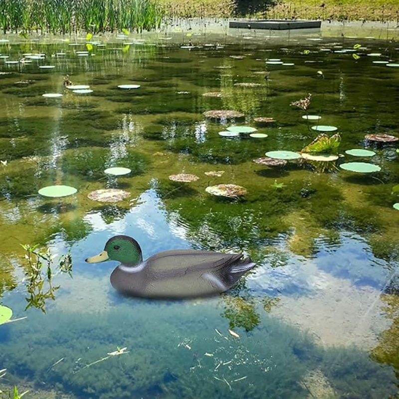 1pc Realistic Plastic Duck Hun – Decoy Duck Plastic recenzja i cena