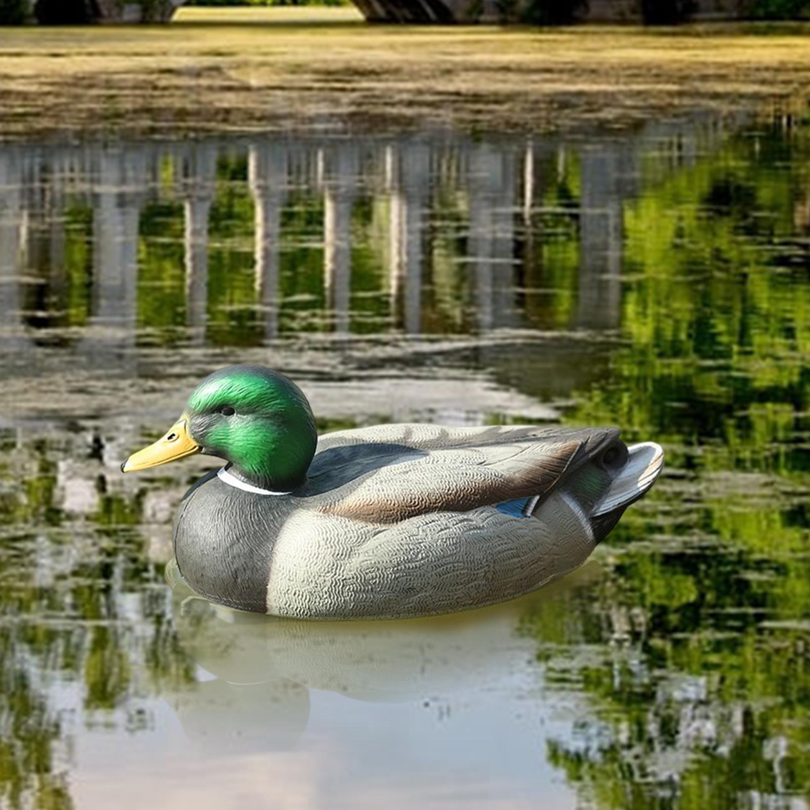 Anatomically Perfect Plastic D – Decoy Duck Plastic recenzja i cena