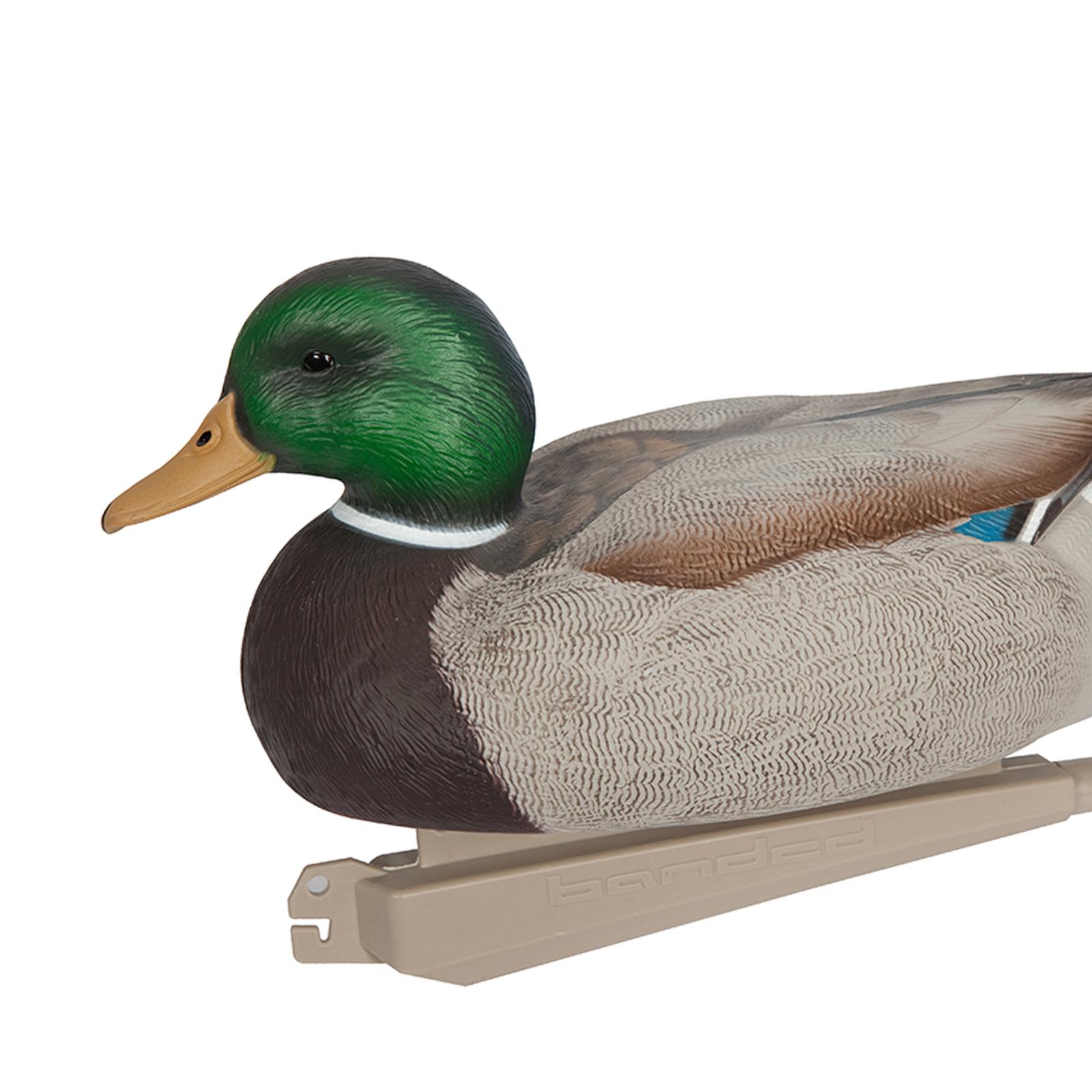 Anatomically Perfect Plastic D – Decoy Duck Plastic recenzja i cena