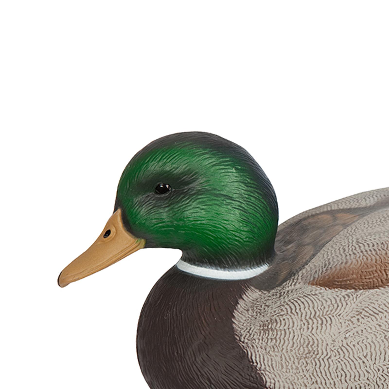 Anatomically Perfect Plastic D – Decoy Duck Plastic recenzja i cena