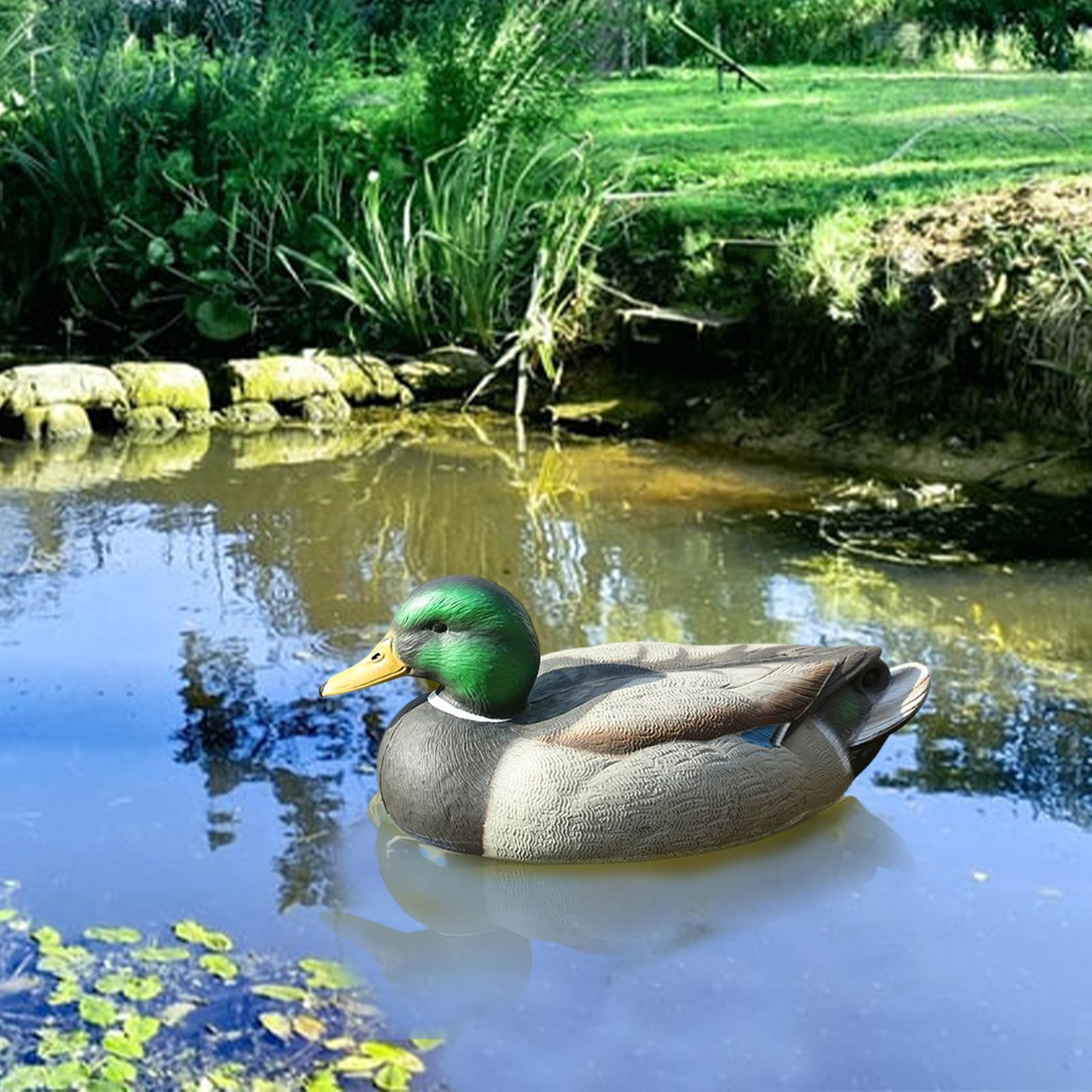 Anatomically Perfect Plastic D – Decoy Duck Plastic recenzja i cena