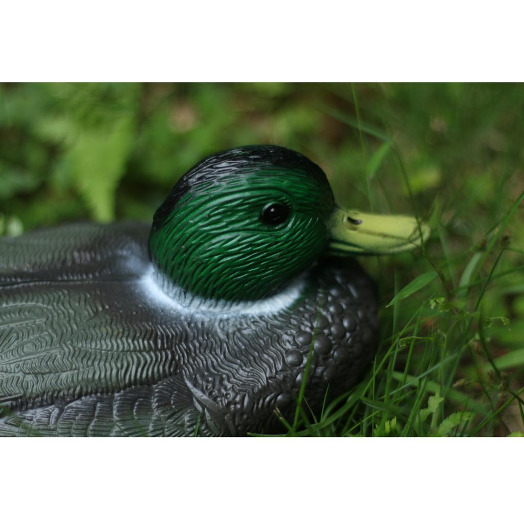 Lifelike Plastic Duck Decoy Ga – Decoy Duck Plastic recenzja i cena