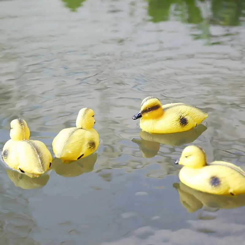 Floating Duck Ducklings Pond S – Decoy Duck Plastic recenzja i cena