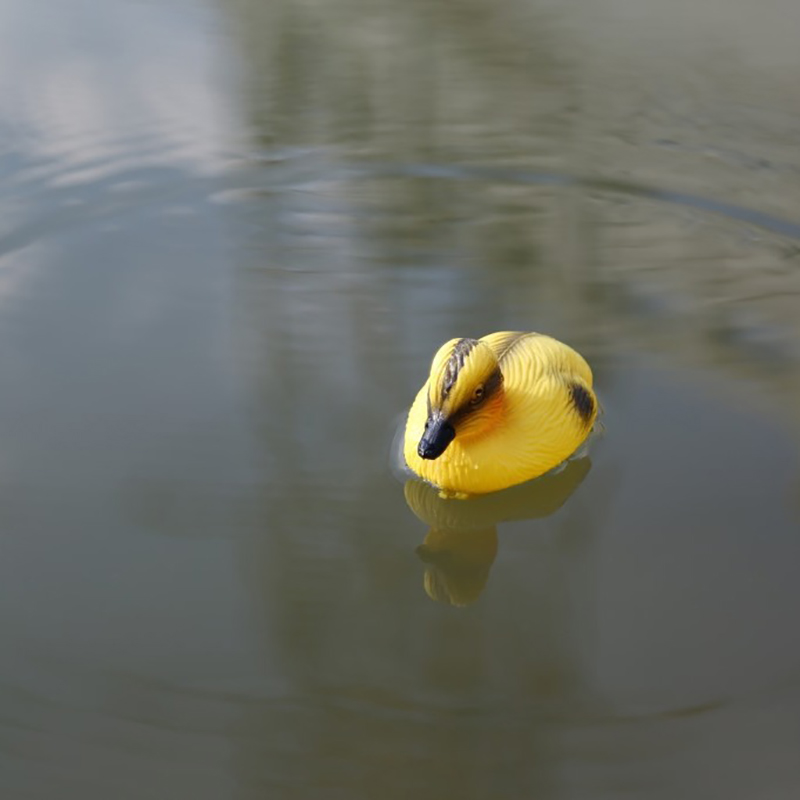 Floating Duck Ducklings Pond S – Decoy Duck Plastic recenzja i cena