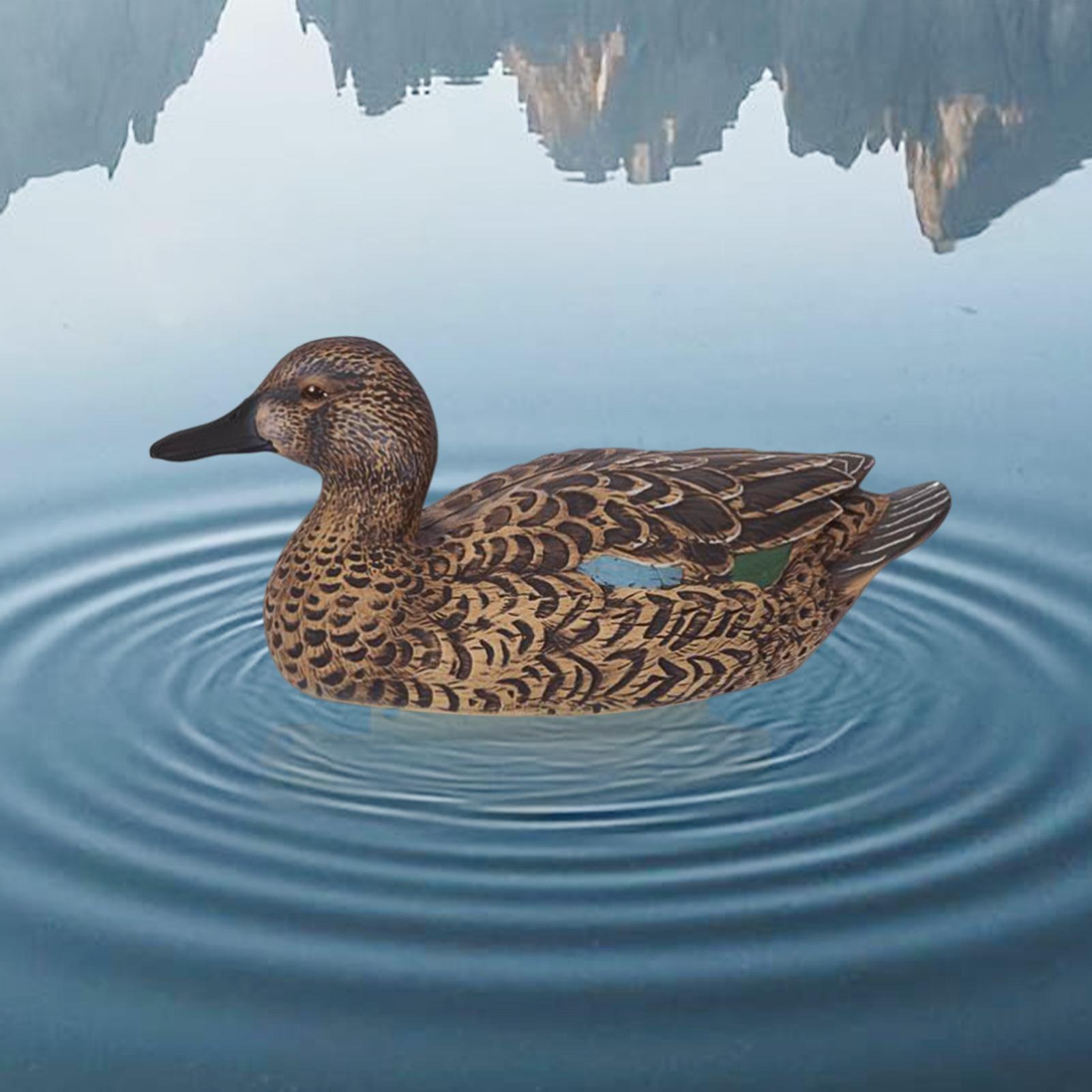 Floating Decoy Duck Lifelike S – Decoy Duck Plastic recenzja i cena